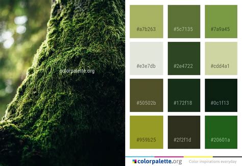 24 Types of Moss Color .